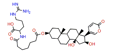 3-(N-Pimeloyl argininyl)-hydroxydesacetylbufotalin
